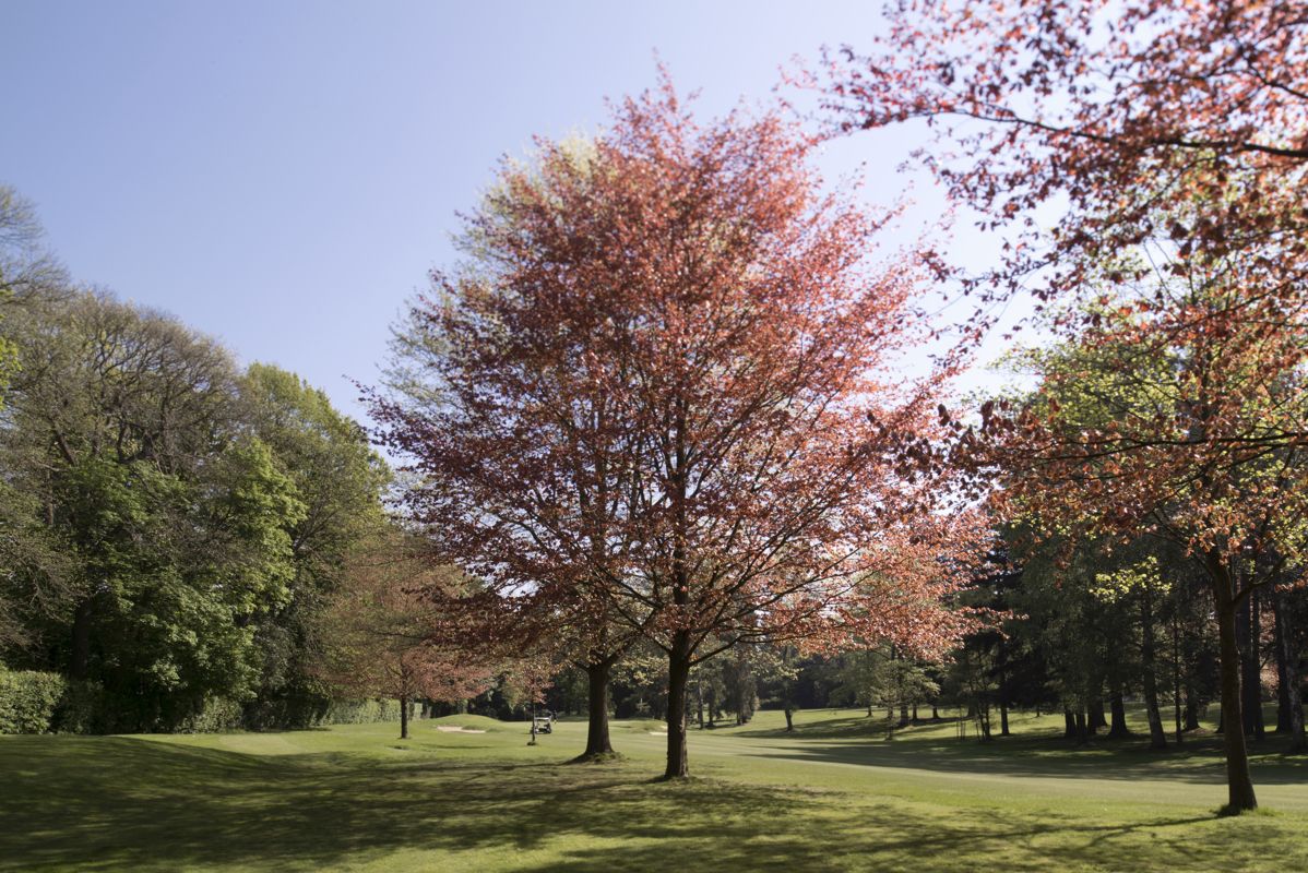 Koninklijke Golf Club van België Ravenstein - 1