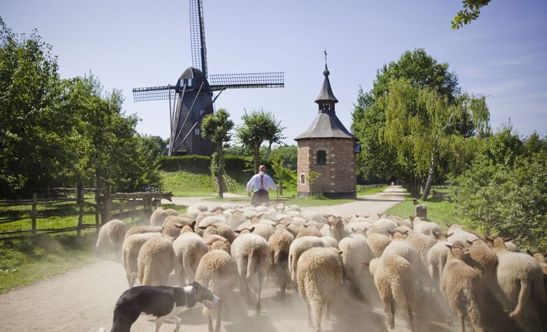 Bokrijk, Freilichtmuseum