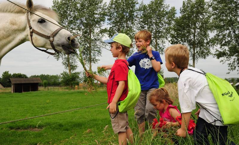 La ferme d'activités De Pierlapont