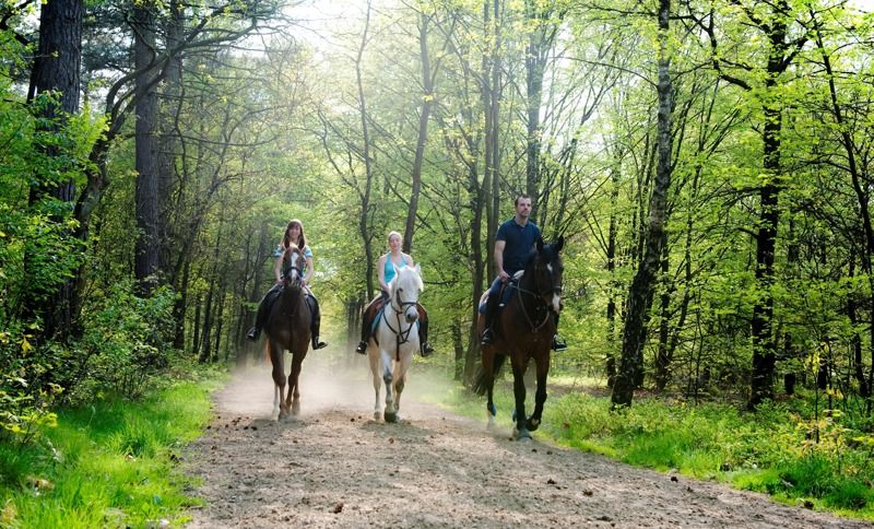 Ruiter- en menroute Nationaal Park Hoge Kempen