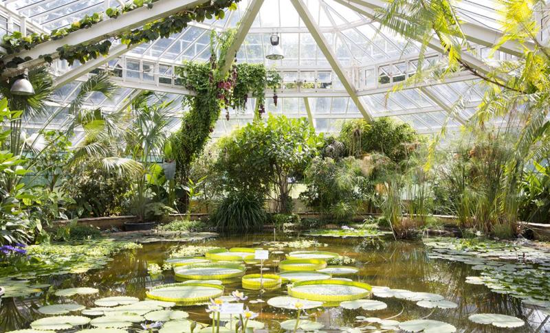 Jardin Botanique Meise